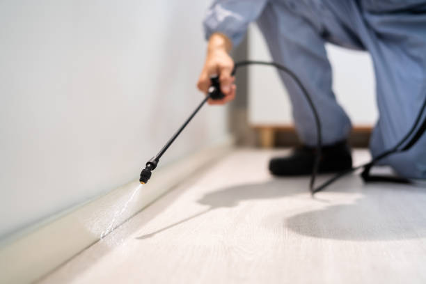 Licensed Pest Control service in Glendale, CA - Nex Pest Control