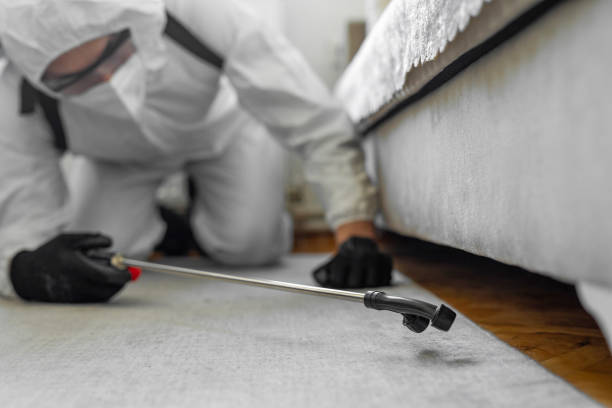 Professional Pest Control technician working in Glendale, CA