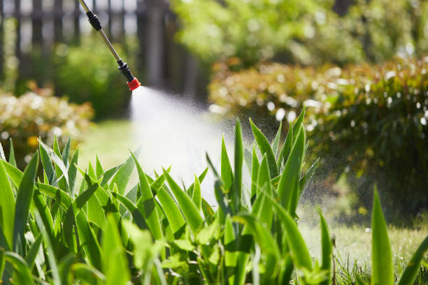 24/7 Emergency Pest Control experts in Glendale, CA
