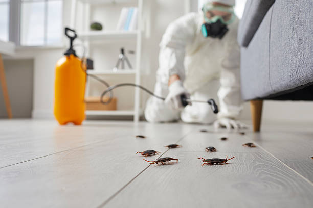 Affordable Pest Control solutions in Glendale, CA